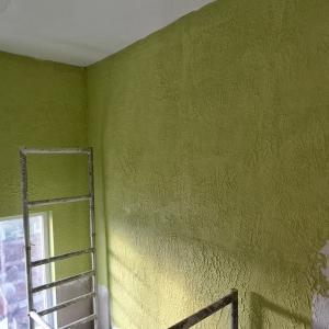 боядисване на стени и таван