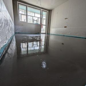 PXL_20241012_080454614