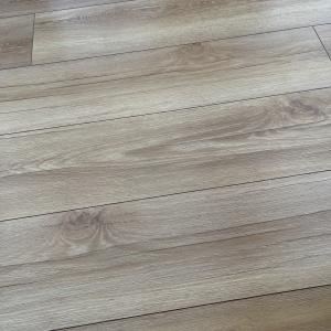 20230329_124925_IMG_1317