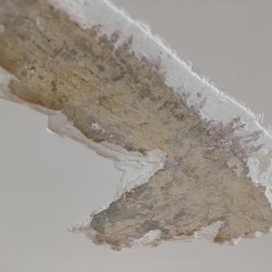 IMG_20260227_115424969