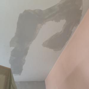 IMG_20260303_123243177