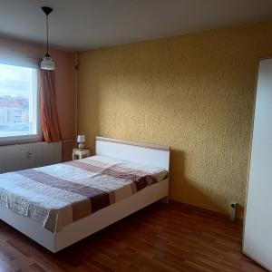 IMG_20260211_143749158_HDR