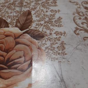 17732484658694422787506354683101