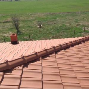 Screenshot_20240613_232243_Gallery