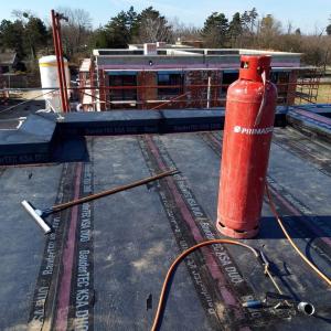 FB_IMG_1773738241736