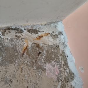 IMG_20260227_134626975