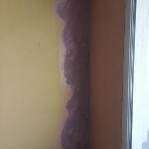 IMG_20260302_155137659_HDR