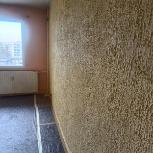 IMG_20260224_114527609_HDR