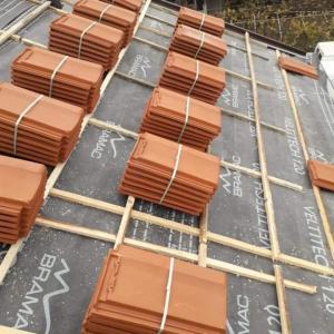 FB_IMG_1662053538570