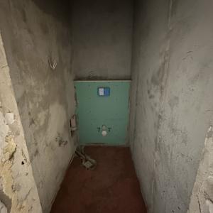 Тоалетна преди