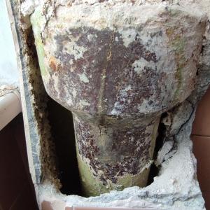 FB_IMG_1774365850839