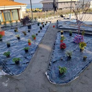 att.DZ2MK2DQ7AHnDloBn5ubxcIHHvZq8bO3K8CGIE7a1TE