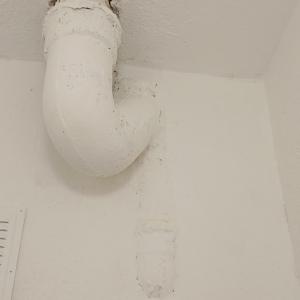 IMG_20260408_141214