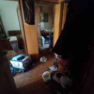 IMG_20250728_100608