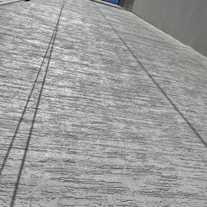 67637205545__BD0498A5-1FEB-45D6-84ED-3981CD31C618.fullsizerender