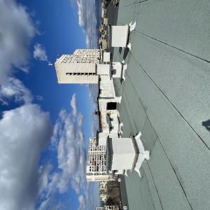 IMG_8400