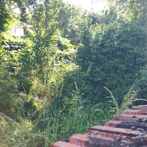 IMG_20260610_091818074