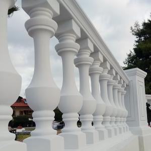 IMG_20241129_103836