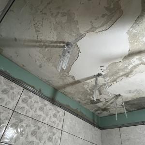 IMG_0687