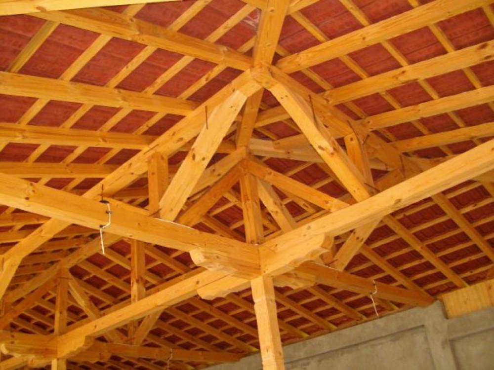 Снимка  от Румен Стефанов