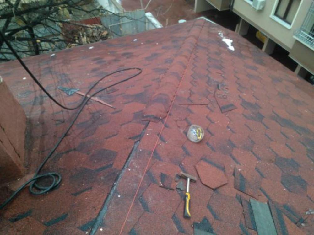 Снимка  от Александър Чернев