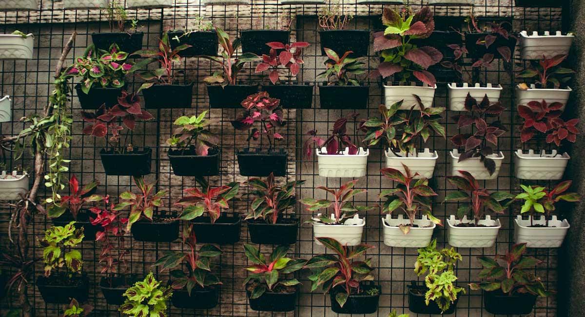 Вертикални градини за терасата: Решения за малки градски пространства