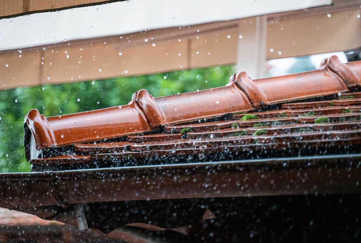 Местата, които не виждаме всеки ден
