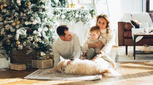 Къде да скриеш всичките подаръци, ако децата са навсякъде?