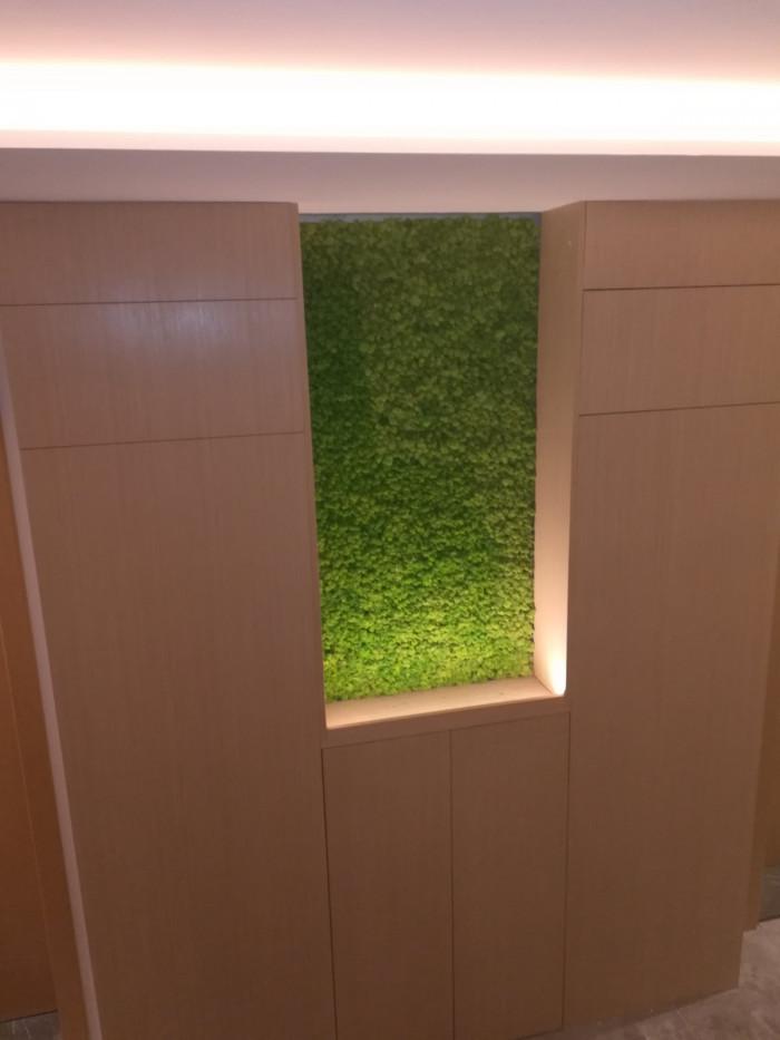 IMG-62b79ce0a60e18a1ab4aa72a2fa993d2-V