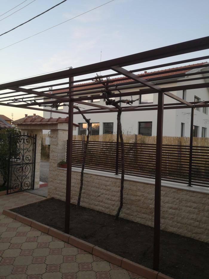 IMG_20241109_170103