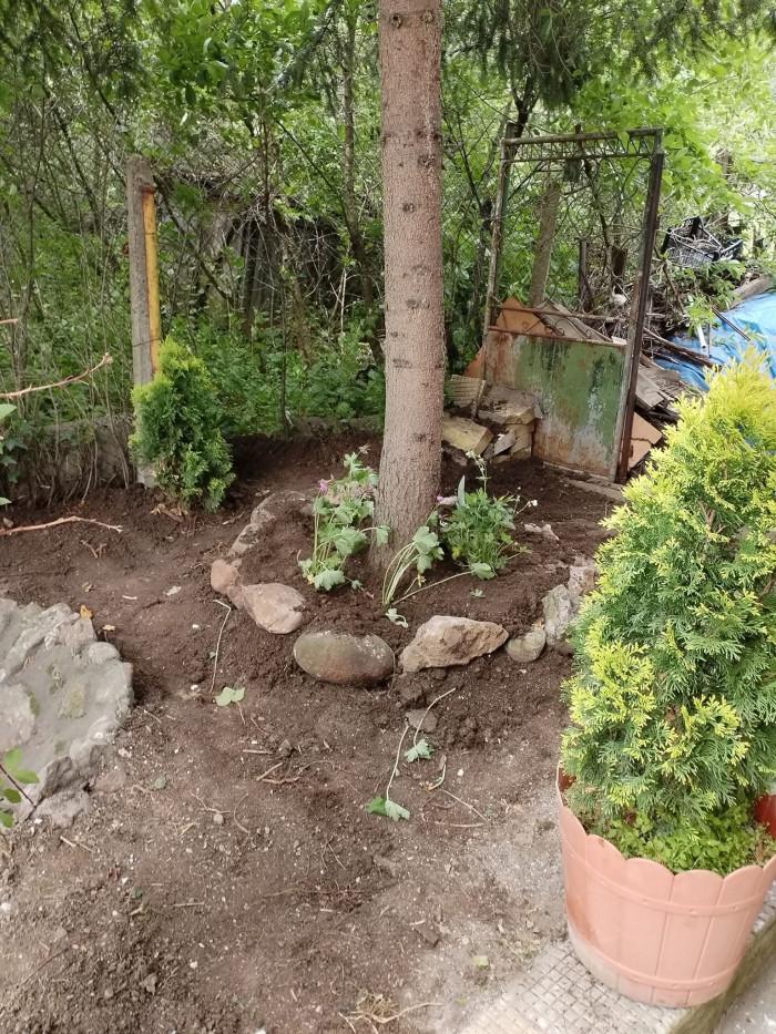 1000007164