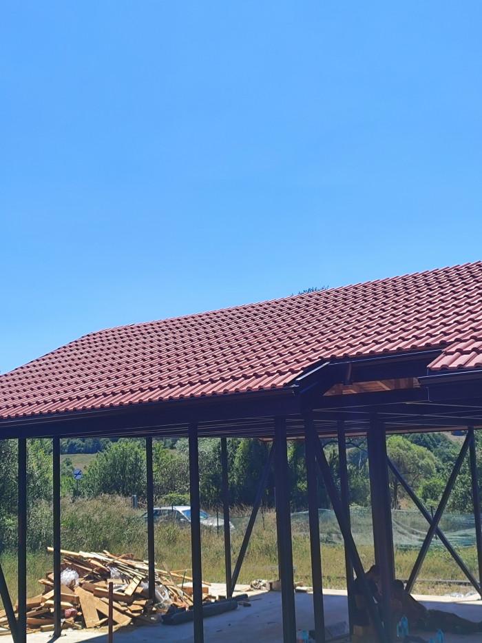 1000697255