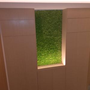 IMG-62b79ce0a60e18a1ab4aa72a2fa993d2-V