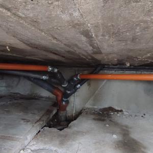 FB_IMG_1774365952246