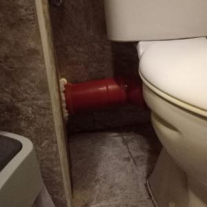 FB_IMG_1774365988969